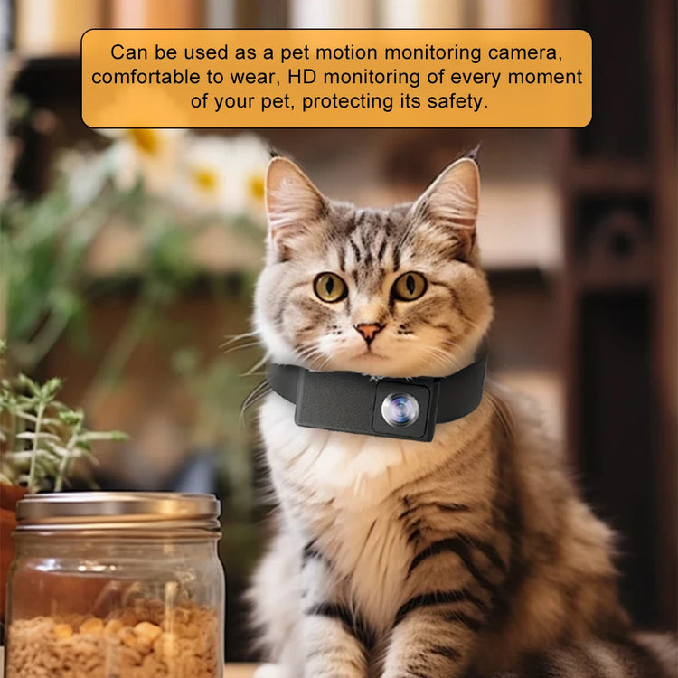 Capture Every Moment: HD 1080P Pet Camera for Dogs and Cats - Wireless Collar Camera Perfect for Adventures and Special Occasions