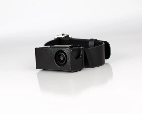 Capture Every Moment: HD 1080P Pet Camera for Dogs and Cats - Wireless Collar Camera Perfect for Adventures and Special Occasions